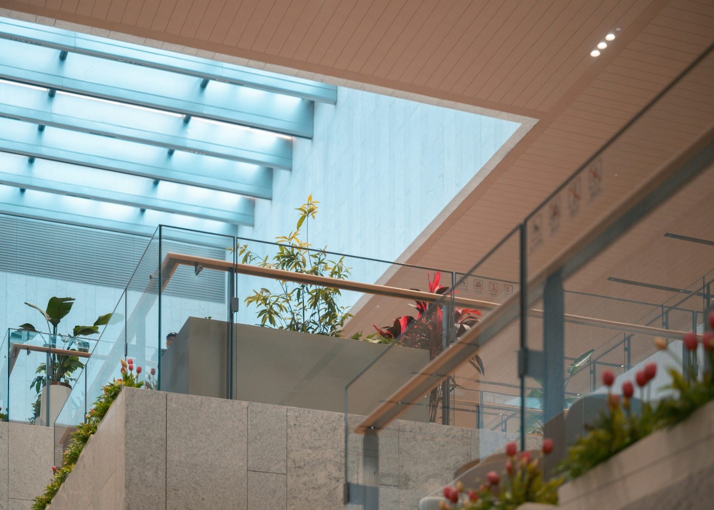 Enhancing Indoor Plants with Skylight Natural Light