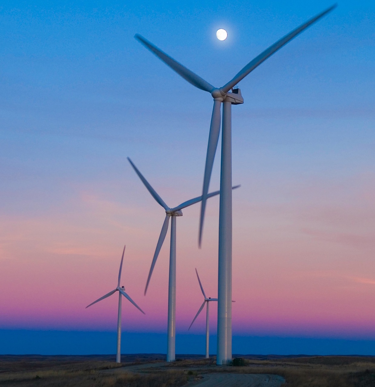 How the Renewables Industry Leverages Salesforce