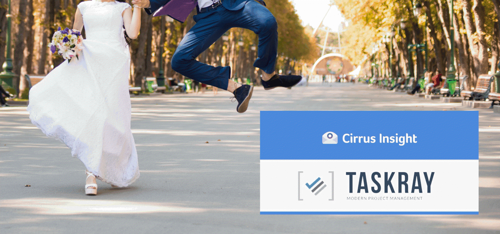 Appy Ever After: Taskray and Cirrus Insights