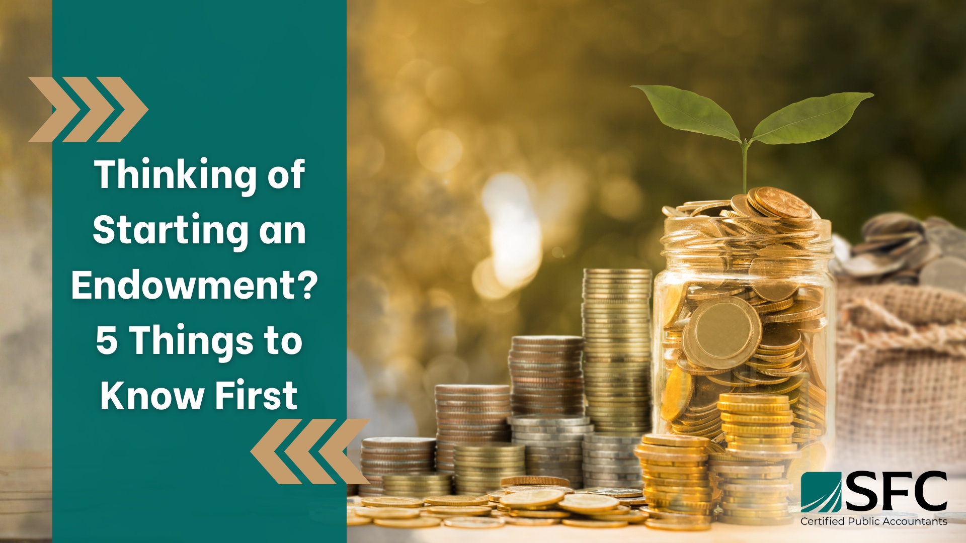 Thinking of Starting an Endowment? 5 Things to Know First