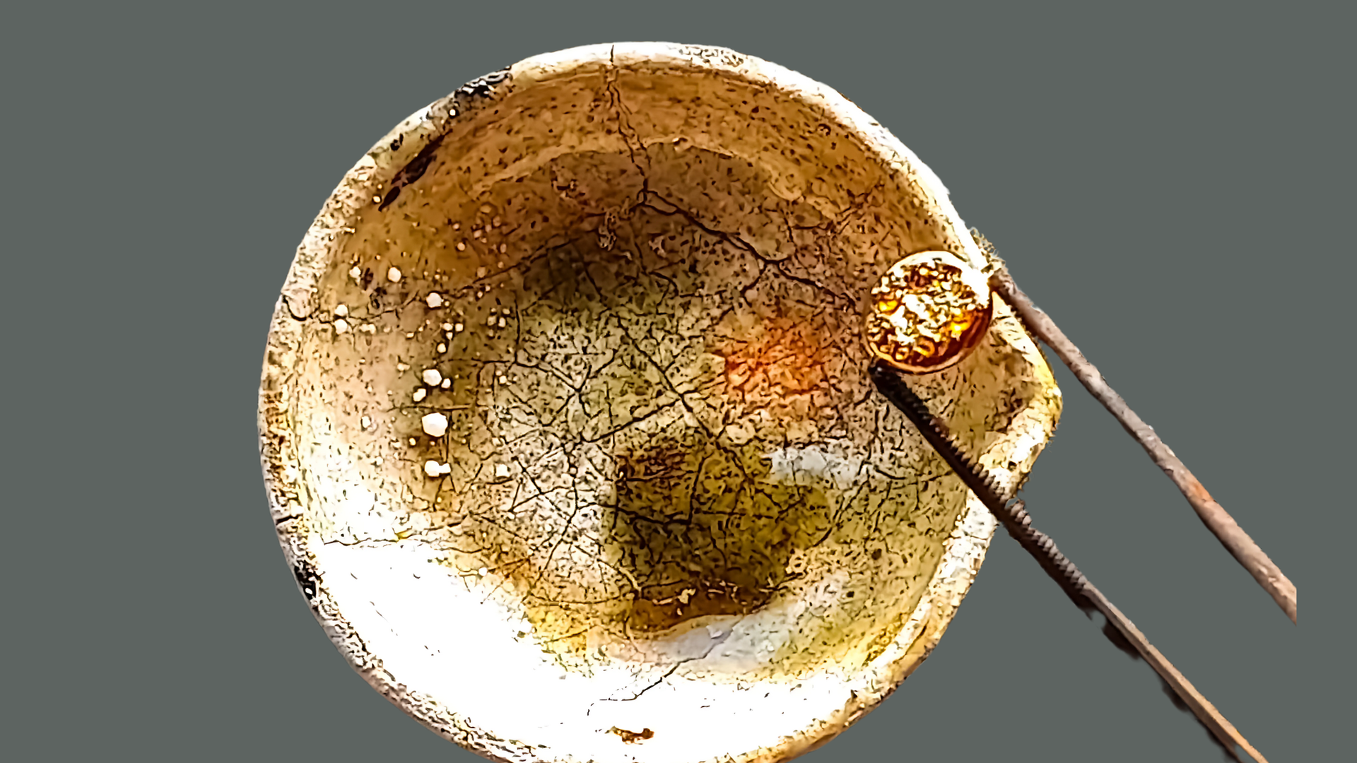 Private Mints vs Government Mints Which Bullion Should You Trust