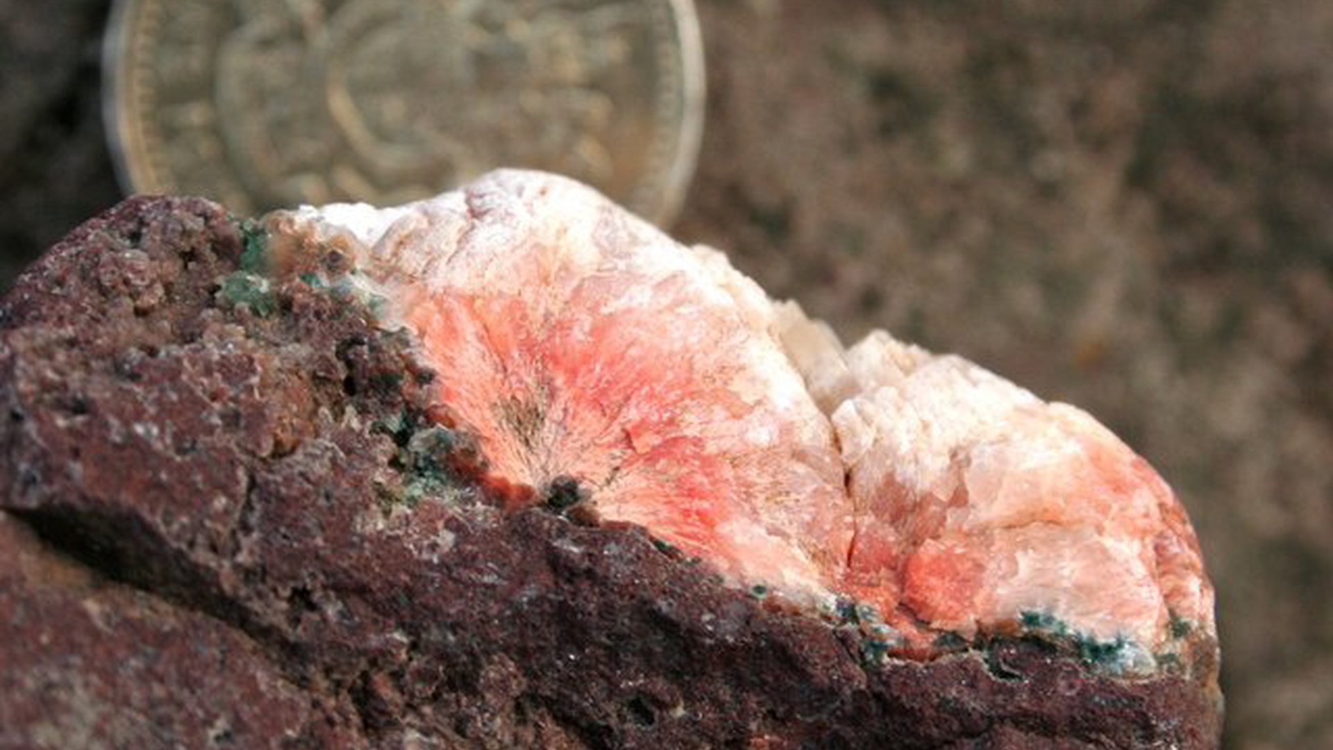 The Global Market of Antimony